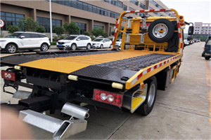 湘东24小时汽车送油服务公司